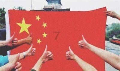 动物拼一拼